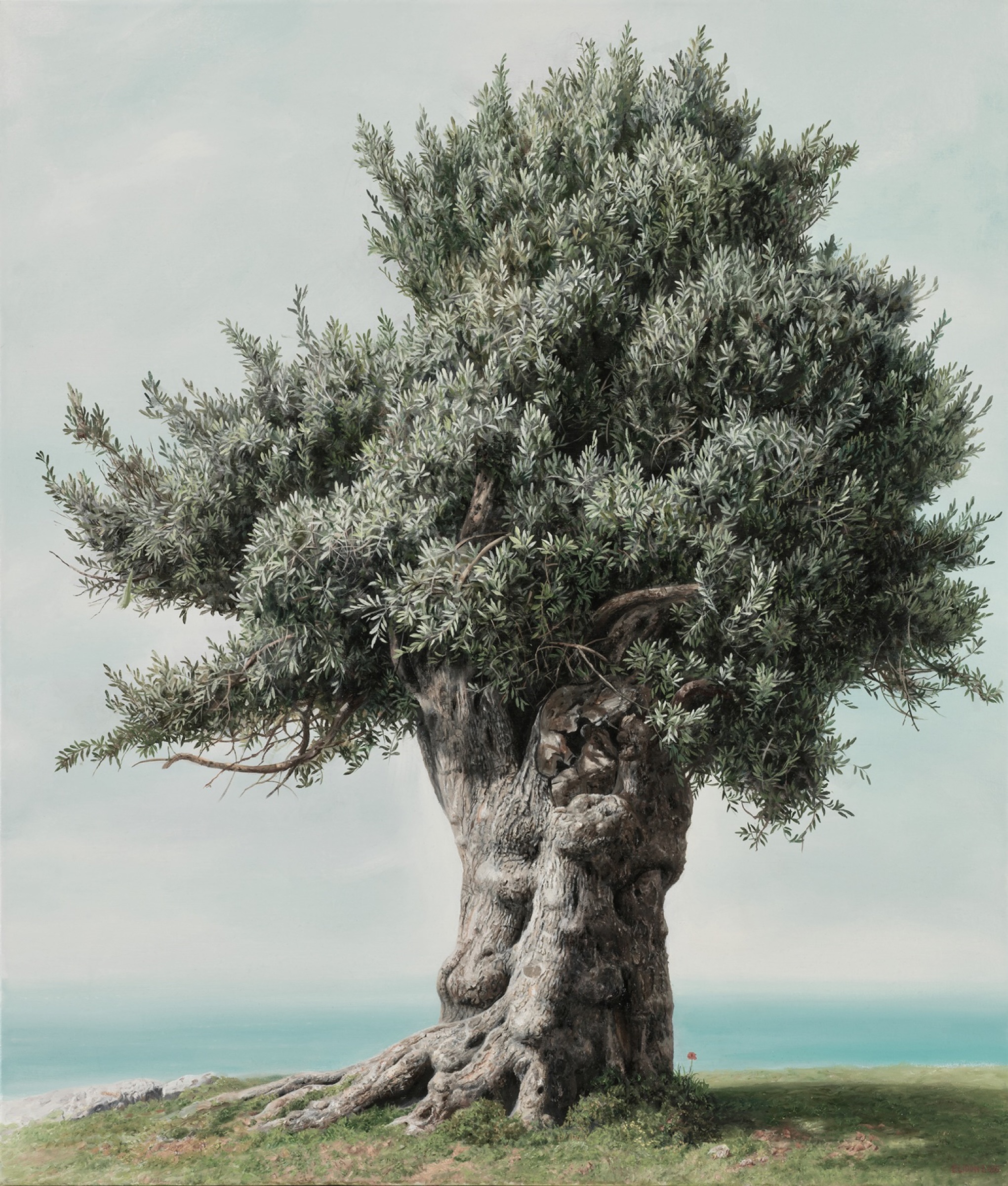 Theodora — Oil painting of an olive tree by Elidon
