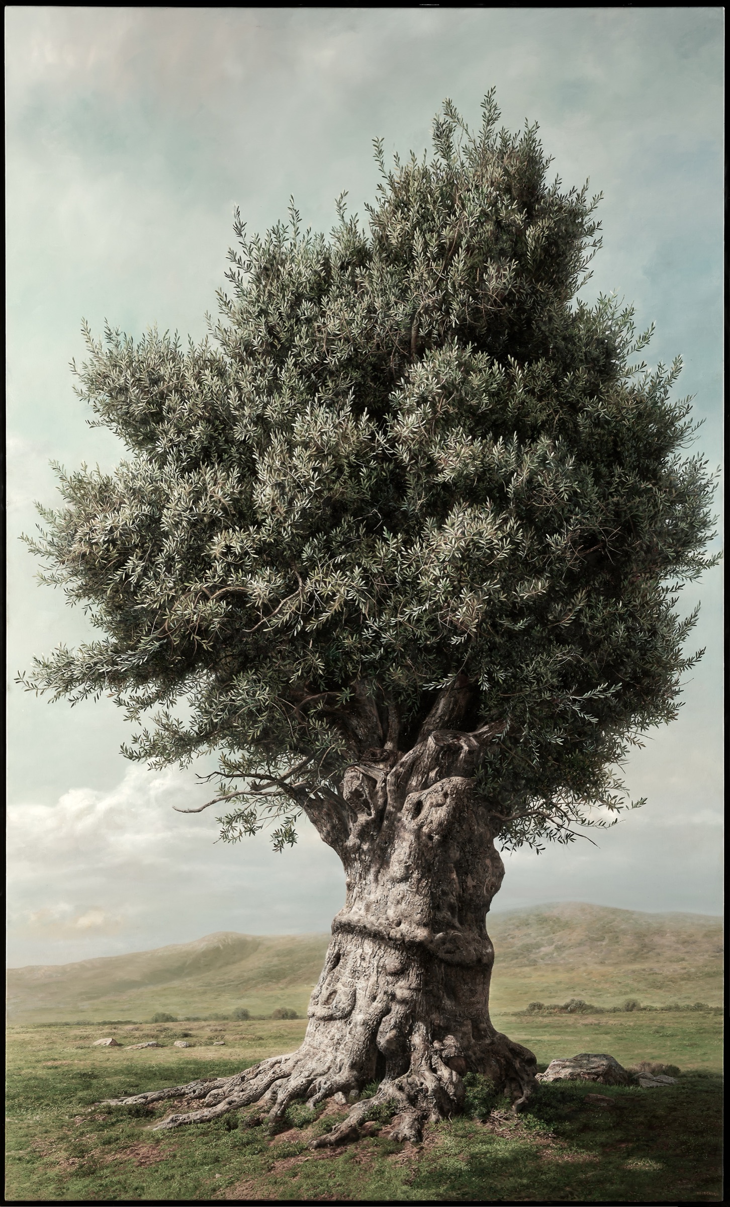The Weight of Years — Oil painting of an olive tree by Elidon