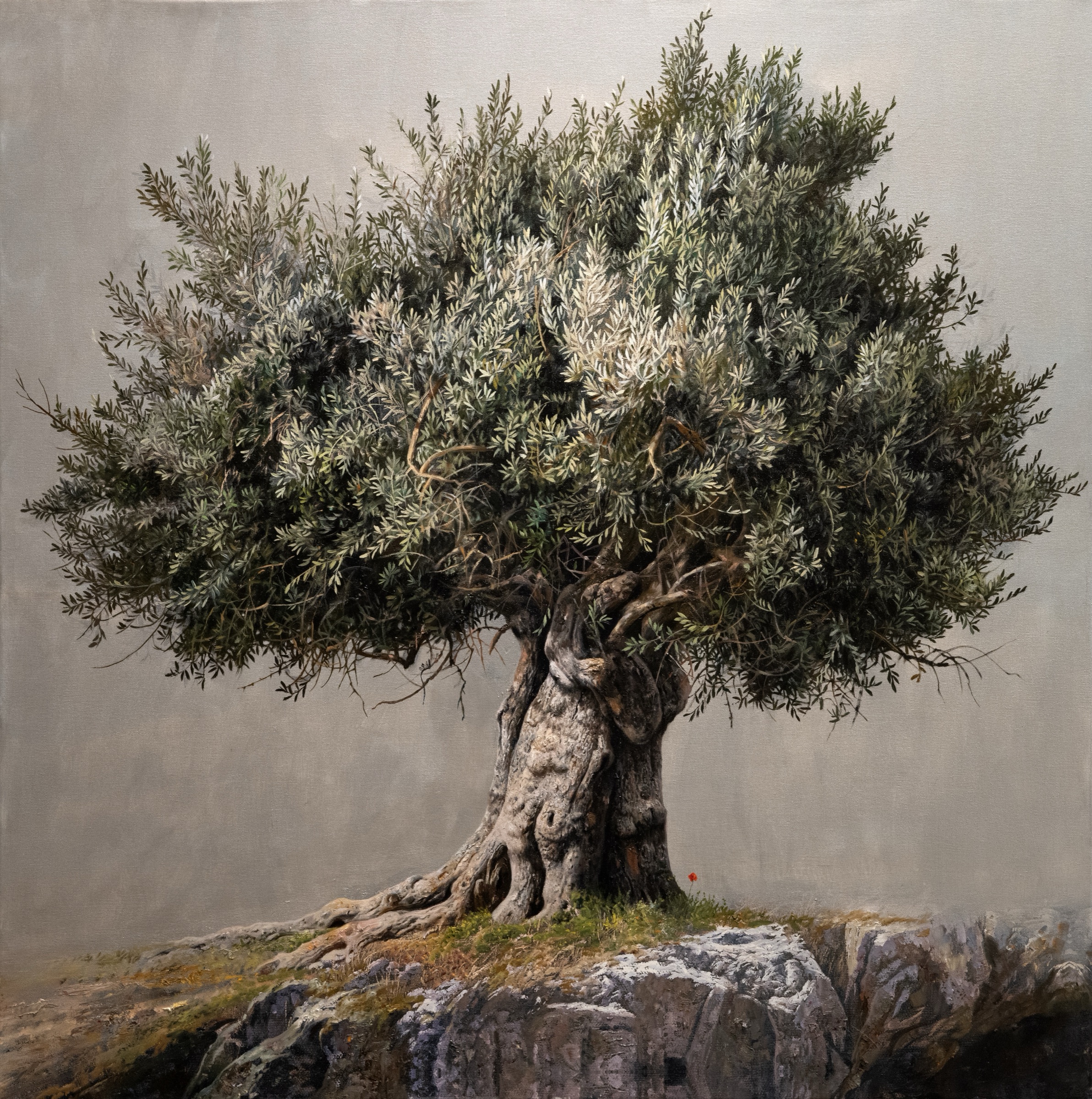 Despina — Oil painting of an olive tree by Elidon