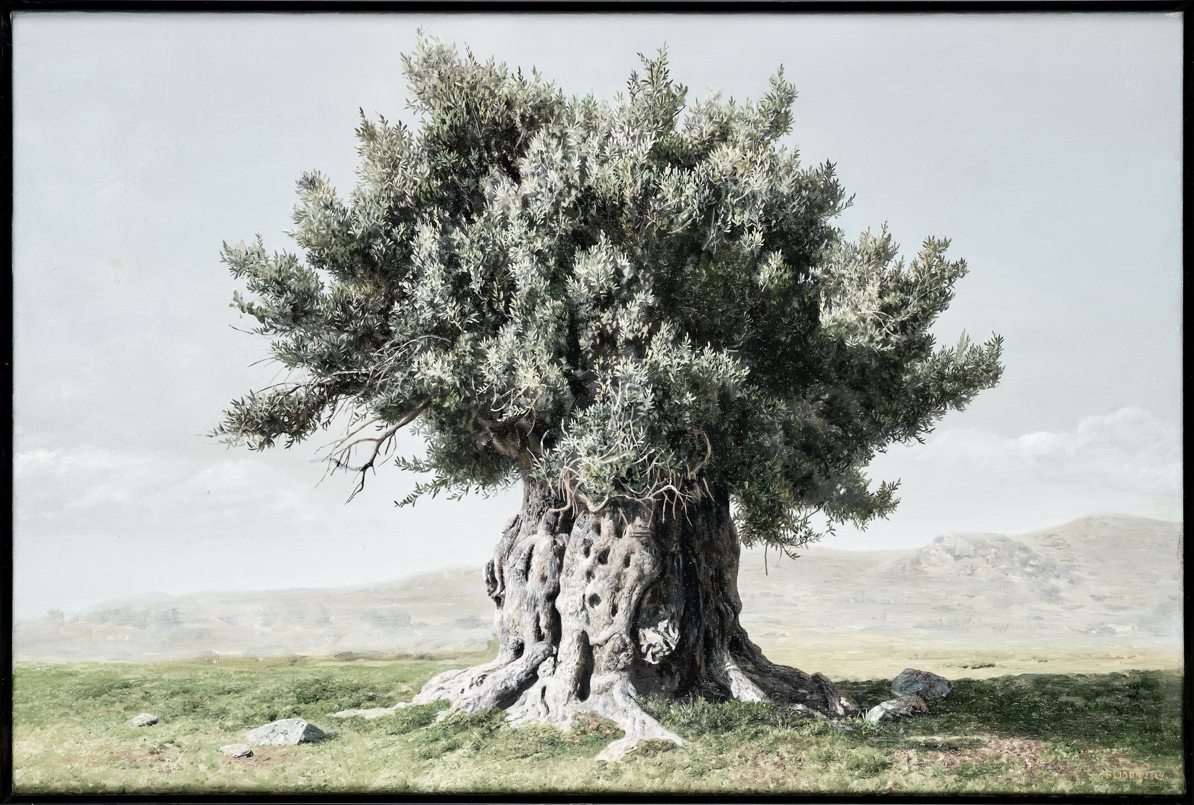 The Last of the Grove — Oil painting of an olive tree by Elidon